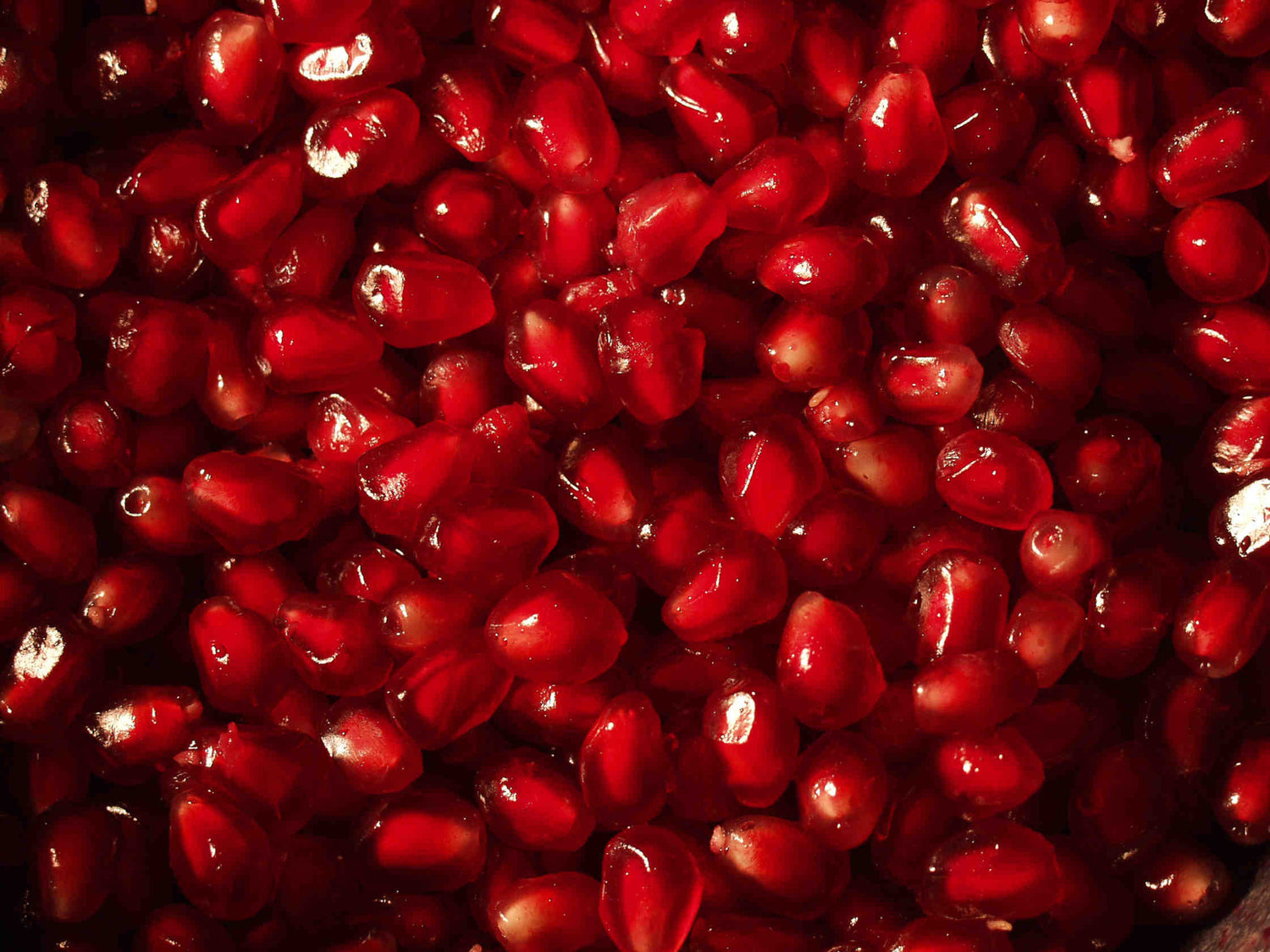 A BRIEF INTRODUCTION OF POMEGRANATE
