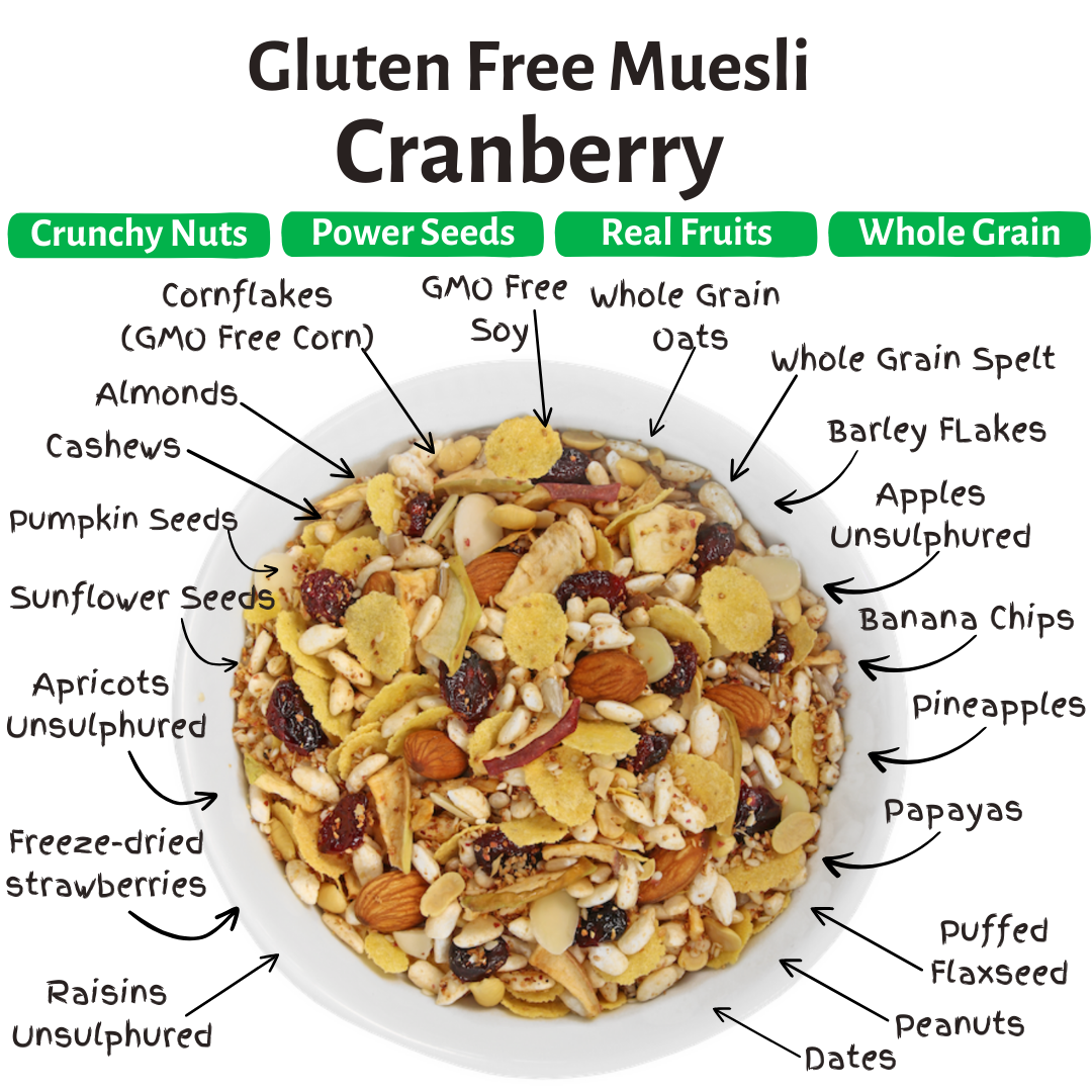 Seitenbacher Gluten Free Muesli – 375g x 2 bags | Strawberry, Cranberry | Best from Germany