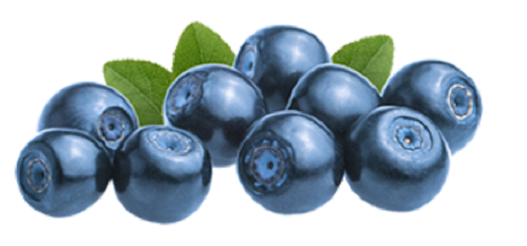 【PomeFresh】100% Pure Organic Bilberry Juice 1000mLX2 （2 Bottles）