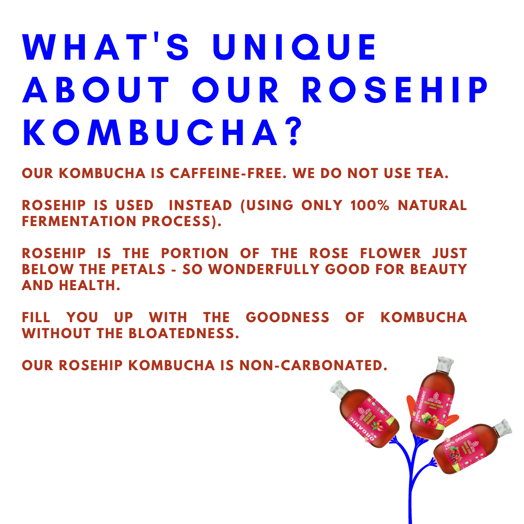 【Georgia's Natural】Organic Kombucha | 300mL X 6 bottles | Rosehip Berry  | Immunity Booster | Detoxifying | Beautiful Skin